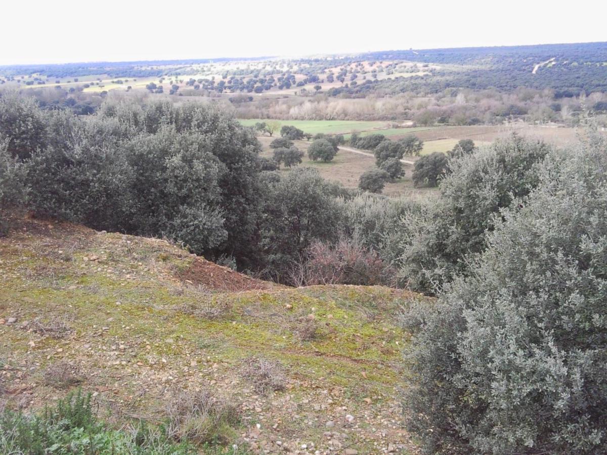 Posada La Reja Malpica de Tajo Exteriör bild